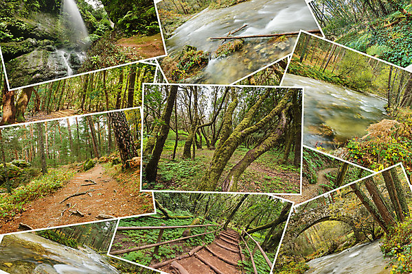 포토 JPG 해외이미지 나무 식물 디자인 계절 공원 꽃 호수 여행 백그라운드 잎 오렌지 자연 산 풍경 사람없음 야외 목재 초록색 빛 강 컬러풀 태양 노란색 마을 환경 봄 활발 가을 시골 소나무 숲 수집 질감 모음 내추럴 해외202004 해외포토 자연요소 공공시설 컬러 컨셉 과일 재료 한글 생태계 파일형식 이미지허브