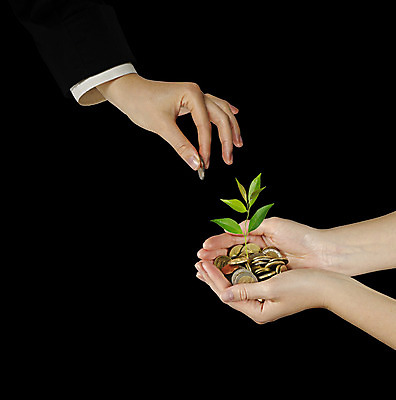 포토 JPG 해외이미지 나무 식물 손 여자 컨셉 잎 돈 비즈니스 자연 사람없음 세로 초록색 금융 새싹 환경 동전 유로 성장 비즈니스우먼 재산 보호 발자국 투자 상업 기부 개발 모종 묘목 생태학 승인 심기 자금 정부 투자자 해외202004 해외포토 교육 컬러 자국 모션 사람 신체부위 경제 직장인 생태계 파일형식 이미지허브