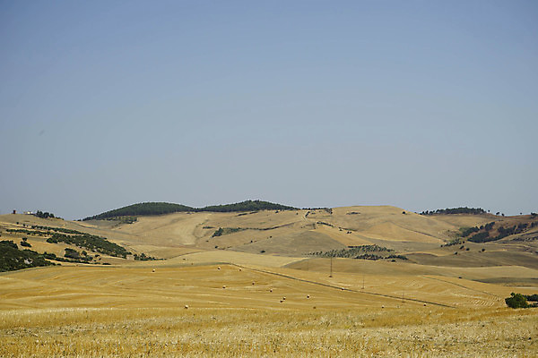 포토 JPG 해외이미지 식물 길 음식 밭 농업 과일 자연 건강 풍경 사람없음 야외 가로 초록색 농장 노란색 이탈리아 견과류 시골 황금 볏짚 땅 자르기 보따리 유기농 롤 패키지 뭉치 밀짚 내추럴 밭일 해외202004 해외포토 웰빙 유럽 산업 컬러 모션 짚 생태계 파일형식 이미지허브