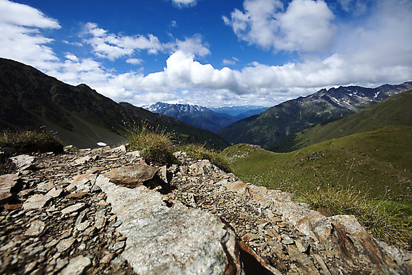 포토 JPG 해외이미지 나무 계절 꽃 자연 하늘 산 파노라마 풍경 사람없음 야외 파란색 계곡 봄 시골 개화 민들레 스위스 알프스 각도 땅바닥 해외202004 해외포토 식물 유럽 컬러 바닥 촬영기법 생태계 파일형식 이미지허브