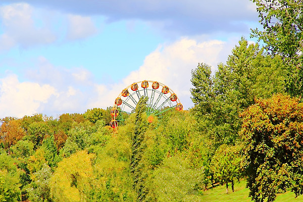 포토 JPG 해외이미지 나무 식물 공원 여행 잎 자연 휴가 항해 파노라마 풍경 사람없음 야외 목재 초록색 여름 바퀴 숲 리뷰 해외202004 해외포토 계절 공공시설 컬러 배_교통 재료 촬영기법 생태계 파일형식 이미지허브