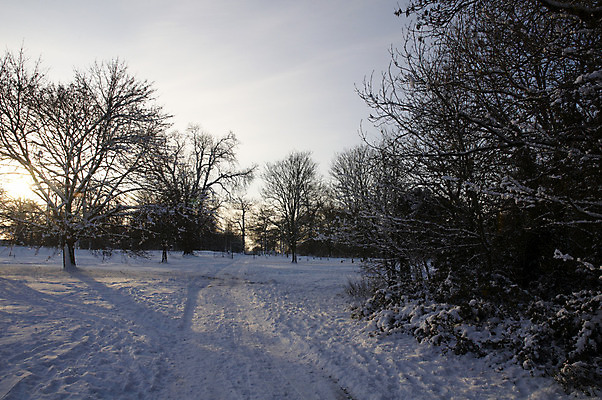 포토 JPG 해외이미지 나무 계절 공원 길 크리스마스 겨울 밭 자연 하늘 날씨 풍경 사람없음 야외 햇빛 냉동 얼음 황혼 추위 흰색 시골 12월 서리 트랙 장면 1월 내추럴 2월 폭설 눈내림 해외202004 해외포토 자연요소 식물 공공시설 기념일 컬러 농업 눈_날씨 태양 일몰 날짜 자연재해 생태계 파일형식 이미지허브