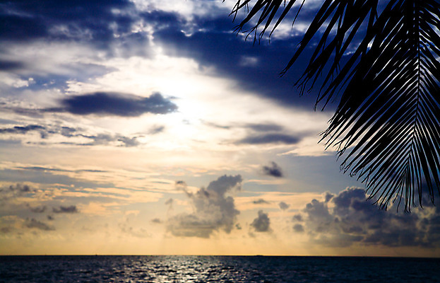 포토 JPG 해외이미지 나무 구름 실루엣 모래 파도 바다 섬 여행 잎 오렌지 자연 하늘 휴가 열대 따뜻함 손바닥 그림자 사람없음 빨간색 초록색 물 여름 파란색 태양 일출 맑음 일몰 꿈 야간 암초 코코넛 몰디브 아열대 해외202004 해외포토 자연요소 식물 손 계절 아시아 컬러 과일 날씨 촬영기법 노을 생태계 파일형식 이미지허브