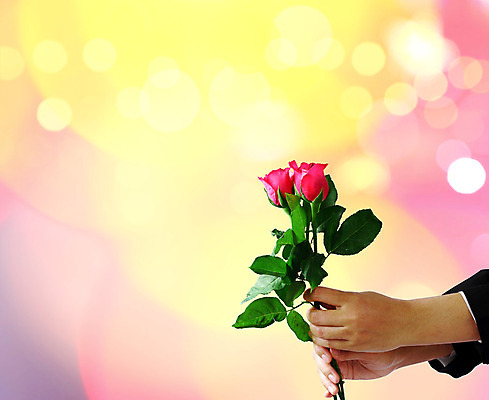 포토 JPG 해외이미지 손 디자인 기념일 꽃 꽃다발 백그라운드 컨셉 꽃무늬 벽지 결혼식 추상 아이디어 발렌타인데이 손바닥 선물 사랑 사람없음 빨간색 컬러풀 장미 우주 축하 잡기 고급 다발 배열 심볼 주기 질감 보케 열정 부드러움 마법 연극 돌봄 발명 블러 엘리먼트 인공 스타일 해외202004 해외포토 식물 감정 컬러 결혼 무늬 모션 데이이벤트 문화예술 이벤트 신체부위 감각 파일형식 이미지허브