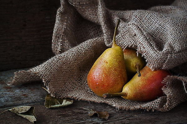 포토 JPG 해외이미지 나무 식물 라이프스타일 잡화 음식 백그라운드 컨셉 잎 가방 자연 새로움 사람없음 야외 목재 빨간색 노란색 가을 흰색 달콤 9월 순수 부드러움 8월 10월 구성 엘리먼트 해외202004 해외포토 계절 컬러 재료 생활 감각 날짜 맛 생태계 파일형식 이미지허브