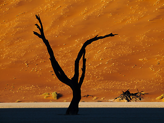 포토 JPG 해외이미지 나무 공원 실루엣 선 모래 여행 오렌지 아프리카 자연 하늘 건조 그림자 풍경 사람없음 야외 목재 빨간색 모래사장 태양 갈색 계곡 맑음 검은색 침묵 사막 나뭇가지 죽음 뜨거움 고독 그늘 모래언덕 화석 가뭄 멀리 아카시아 나미비아 옛날 전국 해외202004 해외포토 자연요소 식물 공공시설 감정 나라 바다 컬러 과일 재료 날씨 촬영기법 소리 언덕 생태계 남아프리카 파일형식 이미지허브