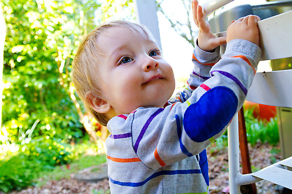 포토 JPG 해외이미지 백인 행복 어린이 놀이 한명 소년 야외 초록색 흰색 즐거움 호기심 탐사 걸음마 뒤뜰 해외202004 해외포토 서양인 1 남자 감정 컬러 컨셉 모션 사람 파일형식 이미지허브