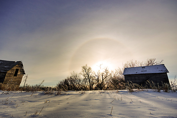 포토 JPG 해외이미지 식물 계절 산업 지구 음식 백그라운드 잎 밭 농업 채소 자연 하늘 건강 풍경 사람없음 야외 초록색 여름 파란색 컬러풀 태양 농장 농경지 갈색 환경 정원 흙 봄 수확 성장 시골 신선 땅 시리얼 유기농 내추럴 땅바닥 밭일 쟁기 줄서기 수평선 세련 해외202004 해외포토 자연요소 웰빙 컬러 모션 바닥 생태계 파일형식 이미지허브