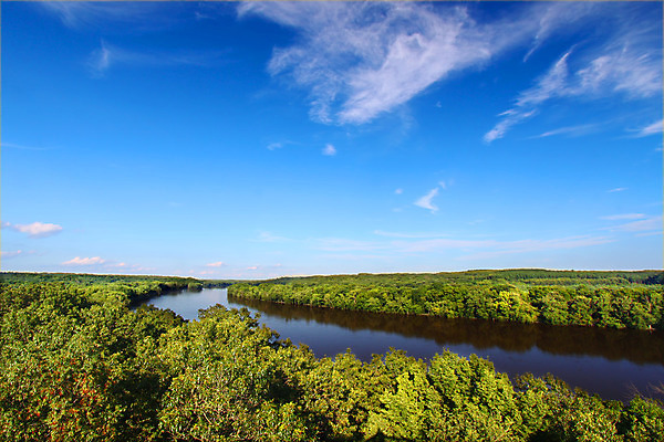 포토 JPG 해외이미지 나무 공원 자연 풍경 사람없음 야외 물 강 환경 골짜기 계곡 미국 놀람 개울 숲 생태계 서식지 내추럴 삼림지대 해외202004 해외포토 자연요소 식물 공공시설 감정 북아메리카 표정 파일형식 이미지허브