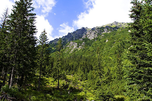 포토 JPG 해외이미지 나무 유럽 호수 자연 하늘 산 파노라마 이끼 풍경 사람없음 야외 초록색 물 여름 파란색 태양 봄 바위 숲 큼 땅 첨탑 스카이라인 폴란드 해외202004 해외포토 자연요소 식물 계절 나라 컬러 촬영기법 탑 돌_바위 크기 생태계 파일형식 이미지허브