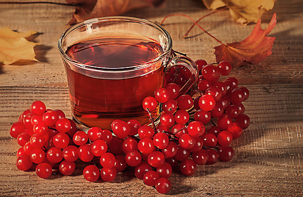 포토 JPG 해외이미지 계절 열매 음료 음식 백그라운드 단풍 잎 오렌지 재료 자연 유리 탁자 휴가 주택 건조 실내 따뜻함 건강 사람없음 목재 장식 컵 가로 빨간색 갈색 노란색 우주 수확 가을 나뭇가지 시골 뜨거움 차 맛 질병 편안함 향 해외202004 해외포토 나무 식물 식기 컬러 가구 컨셉 농업 과일 의학 재질 내부 건물 감각 생태계 파일형식 이미지허브