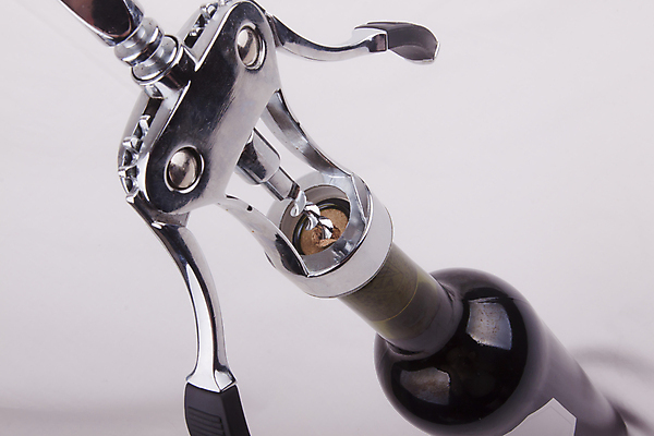 포토 JPG 해외이미지 식물 1 디자인 계절 음료 백그라운드 잎 자연 유리 포도 건강 미술 사람없음 야외 빨간색 초록색 장미 우주 식당 와인 맑음 수확 흰색 나사 오픈 닫기 선택 달콤 소프트포커스 컨테이너 메뉴 유기농 보케 만들기 포도밭 포도나무 코르크 와인오프너 강렬 카피스페이스 해외202004 해외포토 웰빙 꽃 산업 컬러 컨셉 밭 농업 과일 모션 재질 날씨 문화예술 주류 촬영기법 상점 공백 공구 맛 과일나무 생태계 병따개 파일형식 이미지허브