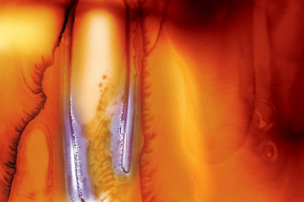 포토 JPG 해외이미지 백그라운드 오렌지 벽지 추상 사람없음 빨간색 매끈함 질감 블러 해외202004 해외포토 컬러 무늬 과일 감각 파일형식 이미지허브