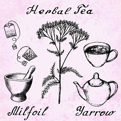 포토 JPG 해외이미지 식물 손 디자인 꽃 백그라운드 잎 가방 포장 주전자 건강 사람없음 그래픽 치료 컵 약 연필 수확 스케치 약국 허브 그림 에코 유기농 윤곽 아로마테라피 테라피 내추럴 막자 레터링 해외202004 해외포토 식기 웰빙 잡화 농업 의학 주방용품 학용품 미술 신체부위 필기구 뷰티 환경 파일형식 이미지허브