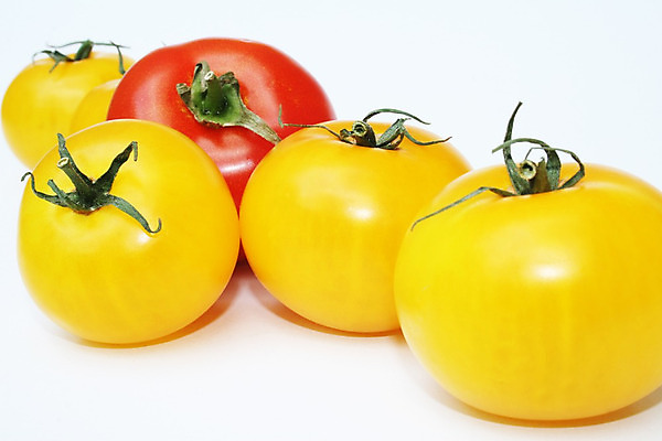 포토 JPG 해외이미지 잡화 음식 농업 다이어트 토마토 채소 재료 건강 요리 사람없음 빨간색 컬러풀 농장 노란색 주방 정원 샐러드 수확 신선 원형 시장 달콤 맛 아침식사 유기농 향 내추럴 고립 숙성 채식주의자 비건 해외202004 해외포토 도형 웰빙 산업 컬러 컨셉 식사 채식 파일형식 이미지허브