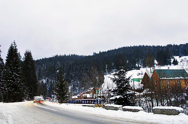 포토 JPG 해외이미지 나무 계절 공원 도로 단풍 겨울 자연 아침 풍경 사람없음 야외 여름 빛 울타리 햇빛 태양 일출 맑음 어둠 일몰 새벽 하이킹 추위 안개 광선 가을 나뭇가지 소나무 영혼 숲 서리 마법 내추럴 뿌연 삼림지대 우크라이나 웅장함 가문비나무 해외202004 해외포토 주간 자연요소 식물 공공시설 유럽 길 잎 교통시설 레저 날씨 담장 노을 생태계 파일형식 이미지허브