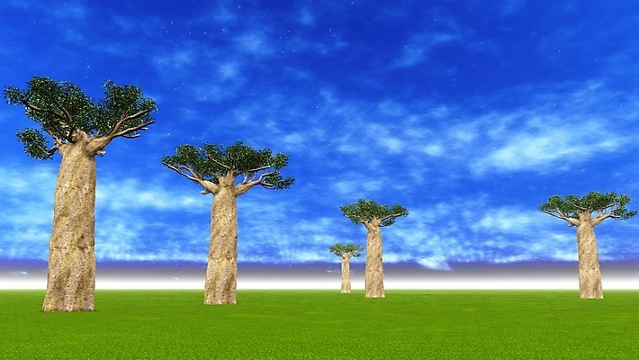 포토 JPG 해외이미지 모양 나무 식물 공원 실루엣 야생동물 여행 오렌지 아프리카 자연 하늘 풍경 사람없음 야외 파란색 빛 세트 세계 태양 노란색 일출 환경 황혼 일몰 나뭇가지 원주민 큼 제비꽃 사파리 윤곽 내추럴 마다가스카르 사바나 옛날 이국적 전국 해외202004 해외포토 자연요소 동물 공공시설 꽃 나라 컬러 과일 촬영기법 노을 아프리카인 크기 생태계 파일형식 이미지허브