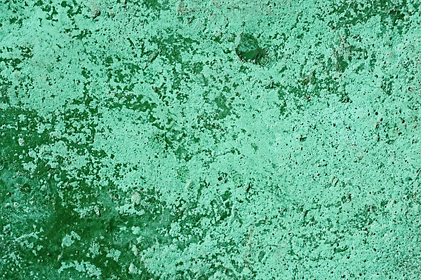 포토 JPG 해외이미지 외관 벽 백그라운드 패턴 벽지 표면 날씨 추상 사람없음 야외 초록색 햇빛 우주 블록 시골 점 얼룩 구멍 거친 그리기 파편 버리기 만족 부식 질감 시멘트 빛망울 구식 그런지 옛날 콘크리트 터키석 효과 부족함 해외202004 해외포토 감정 컬러 컨셉 무늬 모션 빛 태양 보석 파일형식 이미지허브