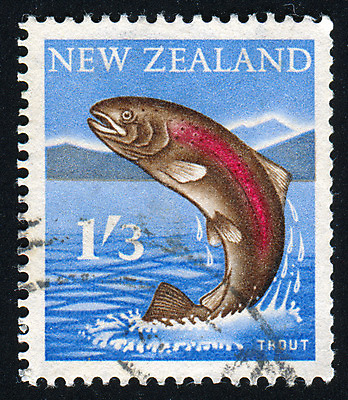 포토 JPG 해외이미지 동물 호수 물결 야생동물 하늘 봉투 새로움 산 저울 어류 사람없음 강 머리 점프 수확 골동품 개울 메시지 역사 떨어짐 물개 편지 언덕 다이빙 복고 꼬리 엽서 육식동물 지느러미 우표 동물상 민물 송어 옛날 해외202004 해외포토 컨셉 농업 포유류 모션 신체부위 조형물 수영 바다동물 수중동물 수중스포츠 파일형식 이미지허브