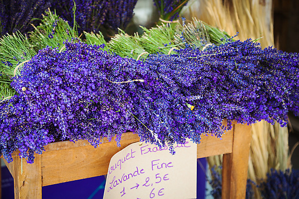 포토 JPG 해외이미지 식물 꽃 유럽 백그라운드 밭 농업 자연 하늘 풍경 사람없음 여름 컬러풀 보라색 프랑스 시골 제비꽃 향기 라벤더 내추럴 프로방스 해외202004 해외포토 계절 나라 산업 컬러 허브 생태계 냄새 파일형식 이미지허브