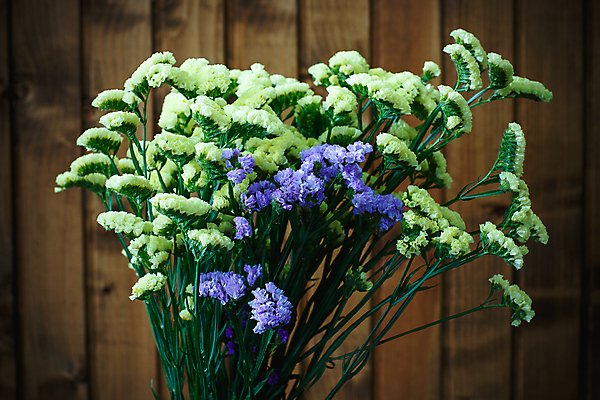 포토 JPG 해외이미지 나무 식물 디자인 꽃잎 꽃 컨셉 잎 자연 새로움 건강 사람없음 목재 여름 봄 벚꽃 나뭇가지 신선 개화 닫기 선택 순수 원예 아로마 부드러움 구성 엘리먼트 해외202004 해외포토 계절 재료 모션 취미 감각 생태계 파일형식 이미지허브