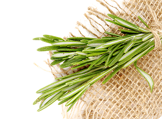 포토 JPG 해외이미지 식물 음식 잎 농업 재료 자연 사람없음 초록색 신선 양념 맛 다발 허브 삼베 유기농 날것 로즈메리 건강식 정물화 채식주의자 해외202004 해외포토 웰빙 산업 컬러 컨셉 그림 생태계 채식 파일형식 천_직물 이미지허브