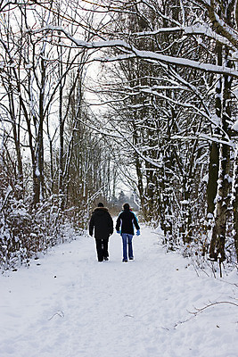 포토 JPG 해외이미지 나무 계절 공원 도로 길 여행 크리스마스 겨울 가족 자연 함께함 사람 풍경 사람없음 장식 여행객 걷기 냉동 침묵 산책 추위 흰색 시골 고독 숲 신비 12월 서리 트랙 장면 신화 1월 2월 눈내림 해외202004 해외포토 식물 공공시설 기념일 감정 컬러 컨셉 관계 교통시설 모션 휴식 눈_날씨 소리 날짜 생태계 파일형식 이미지허브