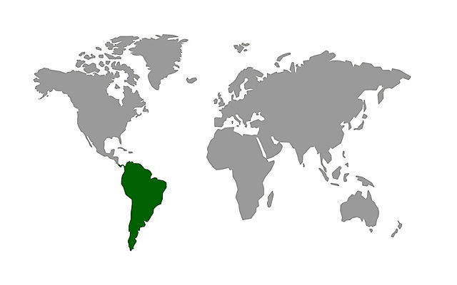 포토 JPG 해외이미지 유럽 아시아 지구 과학 여행 지도 일러스트 아프리카 추상 사람없음 그래픽 파란색 세계 글로벌 지구본 미국 흰색 호주 북쪽 동쪽 남쪽 고립 지도책 해외202004 해외포토 나라 컬러 북아메리카 무늬 책 오세아니아 방향 파일형식 이미지허브