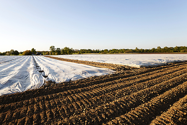 포토 JPG 해외이미지 디자인 계절 유럽 산업 문화 패턴 밭 농업 채소 과일 비즈니스 자연 하늘 풍경 사람없음 야외 건물 여름 농작물 농장 환경 정원 봄 장비 성장 시골 신선 잡기 보호 플라스틱 원예 먼지 장면 공학 온실 세련 해외202004 해외포토 건축물 교육 나라 컨셉 무늬 모션 재질 취미 생태계 파일형식 이미지허브