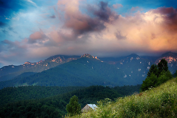 포토 JPG 해외이미지 나무 구름 계절 도로 여행 백그라운드 밭 자연 하늘 아침 산 파노라마 풍경 사람없음 야외 초록색 여름 빛 컬러풀 햇빛 태양 일출 환경 계곡 일몰 새벽 가을 시골 저녁 숲 언덕 루마니아 내추럴 절정 해외202004 해외포토 주간 자연요소 식물 유럽 길 컬러 농업 교통시설 촬영기법 노을 야간 생태계 파일형식 이미지허브