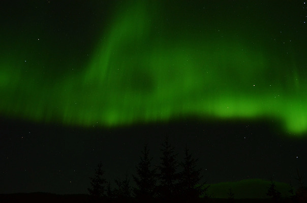포토 JPG 해외이미지 나무 별 자연 하늘 전등 산 노르웨이 풍경 사람없음 야외 초록색 파란색 빛 우주 어둠 활발 가을 원형 영혼 분위기 입자 야간 북극 문학 천문학 북쪽 마법 빛망울 오로라 내추럴 광 현상 가문비나무 더스트파티클 해외202004 해외포토 자연요소 도형 식물 계절 교육 유럽 컬러 컨셉 자연현상 조명 극지방 방향 생태계 파일형식 이미지허브