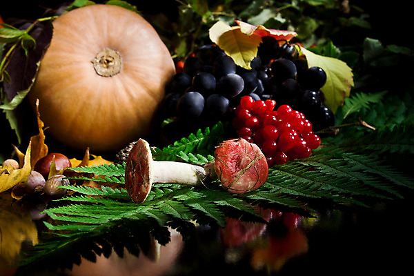 포토 JPG 해외이미지 전통 계절 꽃 음식 잎 과일 자연 호박 포도 검은배경 휴가 건강 씨앗 사람없음 식사 버섯 수확 가을 축하 떨어짐 사과 11월 먹기 박 성분 추수감사절 10월 양치류 포상금 많음 해외202004 해외포토 식물 기독교 백그라운드 컨셉 돈 농업 채소 모션 검은색 날짜 생태계 파일형식 이미지허브