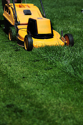 포토 JPG 해외이미지 자연 잔디 사람없음 야외 세로 초록색 정원 공백 원예 원예사 해외202004 해외포토 식물 직업 컬러 취미 생태계 파일형식 이미지허브