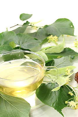 포토 JPG 해외이미지 잎 자연 유리 휴식 건강 사람없음 초록색 약 노란색 벚꽃 신선 잠 열 수집 허브 라임 조제 해외202004 해외포토 식물 꽃 컬러 컨셉 과일 의학 재질 생태계 만들기 파일형식 이미지허브