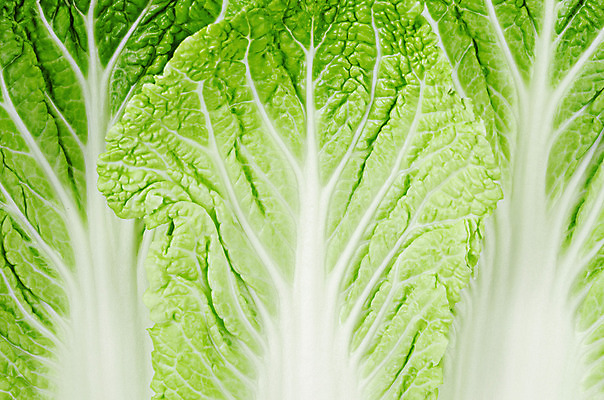 포토 JPG 해외이미지 식물 잡화 음식 백그라운드 잎 패턴 농업 다이어트 채소 재료 자연 추상 건강 사람없음 초록색 농장 머리 중국 샐러드 신선 닫기 맛 파편 상추 자르기 유기농 질감 양배추 날것 섬유 숙성 해외202004 해외포토 웰빙 산업 아시아 컬러 컨셉 무늬 모션 신체부위 직물 생태계 파일형식 이미지허브