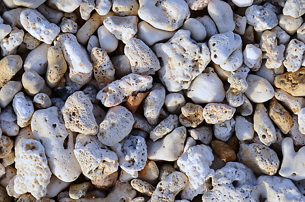 포토 JPG 해외이미지 동물 바다 섬 여행 백그라운드 자연 추상 열대 생물 건조 사람없음 물 갈색 환경 흰색 죽음 거친 변화 산호 유기농 질감 하와이 소금 태평양 암초 리빙 내추럴 동물상 소금물 이국적 취급주의 생존 해외202004 해외포토 자연요소 웰빙 컬러 컨셉 무늬 경고 조형물 미국 자포동물 생태계 파일형식 이미지허브