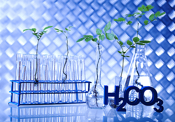 포토 JPG 해외이미지 식물 실내 실험 사람없음 액체 화학 실험실 플라스크 시험관 비커 유리관 화학실험 시험관대 탄산 화학기호 해외202004 해외포토 기호 과학 실험기구 내부 파일형식 이미지허브