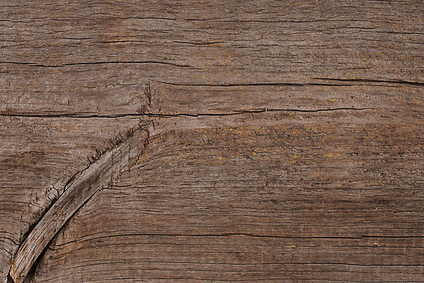 포토 JPG 해외이미지 동물 잡화 음식 분홍색 백그라운드 다이어트 재료 조류 뼈 건강 육류 요리 사람없음 주방 식사 저녁식사 치킨 신선 닫기 가슴 자르기 먹기 오브젝트 유기농 점심식사 고립 해외202004 해외포토 웰빙 컬러 식재료 모션 신체부위 닭고기요리 파일형식 이미지허브