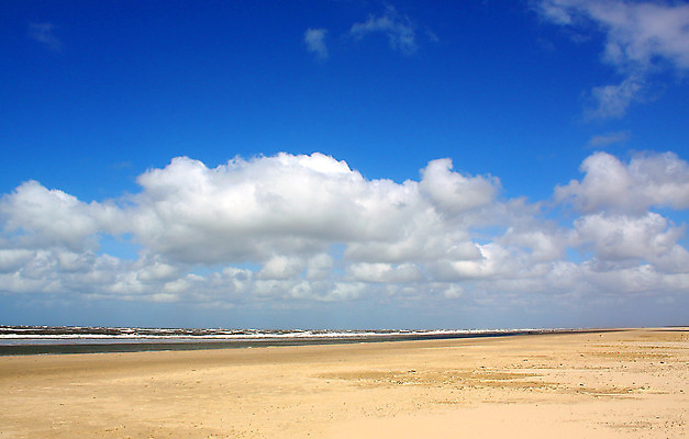 포토 JPG 해외이미지 구름 유럽 모래 파도 바다 섬 여행 자연 조류 하늘 바람 날씨 휴가 덴마크 풍경 사람없음 야외 물 여름 파란색 평화 맑음 모래언덕 네덜란드 북쪽 수평선 해외202004 해외포토 자연요소 동물 계절 나라 컬러 컨셉 북유럽 방향 언덕 생태계 파일형식 이미지허브