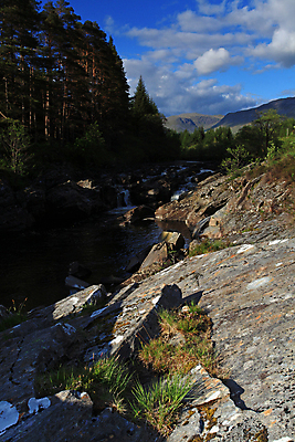 포토 JPG 해외이미지 나무 유럽 자연 하늘 풍경 사람없음 야외 물 강 햇빛 환경 계곡 흐름 개울 숲 장면 내추럴 스코틀랜드 해외202004 해외포토 자연요소 식물 나라 컨셉 영국 태양 생태계 파일형식 이미지허브