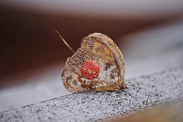 포토 JPG 해외이미지 사람없음 해외202004 해외포토 파일형식 이미지허브