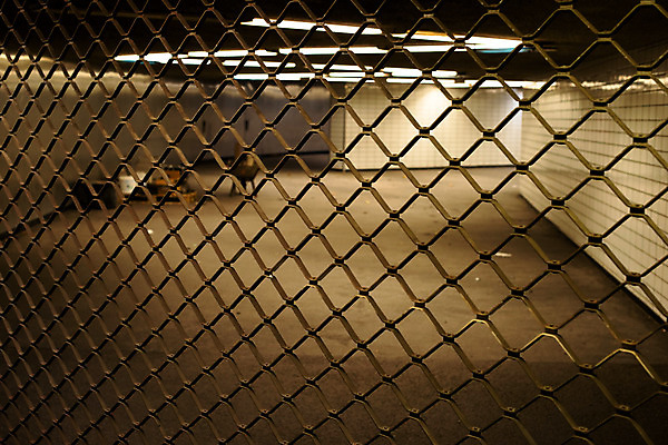 포토 JPG 해외이미지 디자인 건축양식 출입구 자물쇠 사람없음 내부 문 금속 장비 경계선 도시 수리 전철 역 입장 시작 통로 보안 대문 지하 방법 정문 철강 해외202004 해외포토 건축 선 육상교통 교통시설 재질 대중교통 안전 경계 파일형식 이미지허브