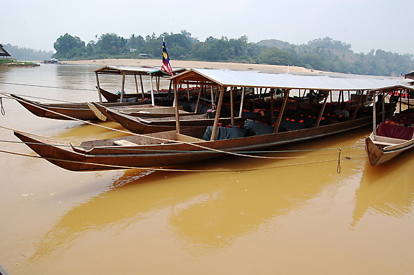 포토 JPG 해외이미지 나무 식물 공원 아시아 여행 자연 호텔 휴가 사람없음 물 강 여행객 항구 트래킹 탐험 덮개 관찰 보트 동굴 숲 휴양지 방파제 카누 발견 말레이시아 옛날 전국 해외202004 해외포토 자연요소 공공시설 나라 배_교통 교통시설 모션 숙소 레저 사람 장소 뚜껑 수상스포츠 생태계 파일형식 이미지허브