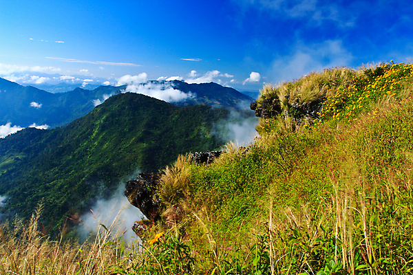 포토 JPG 해외이미지 나무 구름 계절 길 여행 백그라운드 태국 자연 하늘 아침 조명 산 미술 풍경 사람없음 야외 장식 초록색 여름 컬러풀 햇빛 노란색 환경 계곡 수확 안개 골동품 가을 언덕 전나무 목각 산악지대 옛날 웅장함 절정 해외202004 해외포토 주간 자연요소 식물 아시아 컬러 농업 날씨 문화예술 태양 생태계 파일형식 이미지허브