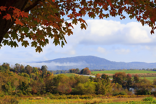 포토 JPG 해외이미지 나무 구름 공원 잎 자연 하늘 산 풍경 사람없음 야외 빨간색 파란색 컬러풀 햇빛 평화 침묵 안개 가을 시골 10월 뿌연 해외202004 해외포토 자연요소 식물 계절 공공시설 컬러 컨셉 날씨 태양 소리 날짜 생태계 파일형식 이미지허브