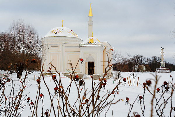 포토 JPG 해외이미지 나무 전통 공원 여행 사람없음 반사 연못 심볼 러시아 해외202004 튀르키예 해외포토 식물 공공시설 유럽 아시아 파일형식 이미지허브