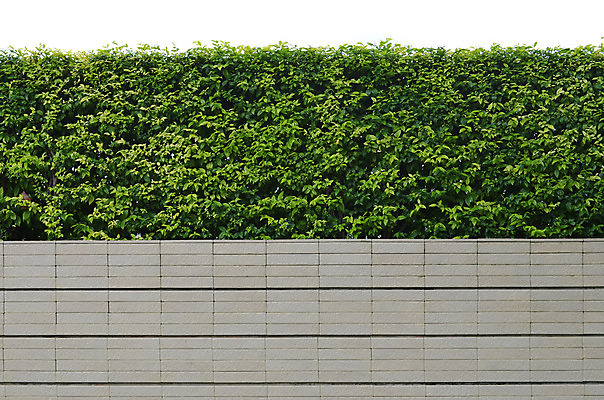 포토 JPG 해외이미지 나무 식물 디자인 외관 공원 꽃 벽 백그라운드 잎 패턴 건축양식 자연 표면 벽돌 주택 풍경 사람없음 내부 장식 초록색 울타리 정원 조약돌 바위 파편 관목 타일 질감 질서 고립 화강암 해외202004 해외포토 공공시설 건축 컬러 무늬 건물 담장 암석 돌_바위 예절 생태계 파일형식 이미지허브