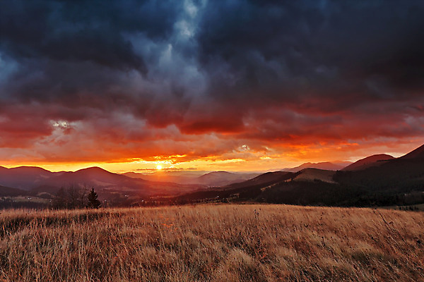 포토 JPG 해외이미지 구름 계절 백그라운드 밭 오렌지 자연 하늘 아침 산 풍경 사람없음 목재 빨간색 햇빛 태양 노란색 마을 일출 환경 일몰 새벽 가을 시골 숲 11월 언덕 장면 폭풍 통과 내추럴 우크라이나 해외202004 해외포토 주간 자연요소 나무 유럽 컬러 농업 과일 재료 날씨 노을 날짜 생태계 파일형식 이미지허브