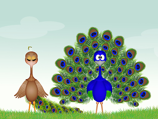 포토 JPG 해외이미지 동물 커플 여자 남자 결혼 일러스트 자연 조류 결혼식 사람없음 장식 초록색 파란색 컬러풀 축하 공작 만화 깃털 꼬리 해외202004 해외포토 컬러 컨셉 관계 사람 이벤트 생태계 파일형식 이미지허브