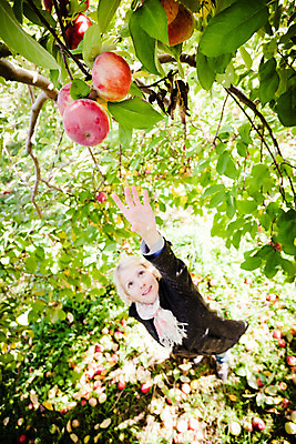 포토 JPG 해외이미지 나무 백인 라이프스타일 손 계절 행복 음식 컨셉 잎 농업 과일 자연 건강 한명 사람 야외 목재 빨간색 초록색 여름 농장 정원 기쁨 수확 가을 흰색 나뭇가지 신선 닫기 선택 달콤 사과 과수원 원예 획득 8월 내추럴 밭일 해외202004 해외포토 서양인 식물 1 감정 산업 컬러 재료 모션 취미 생활 신체부위 날짜 맛 생태계 파일형식 이미지허브